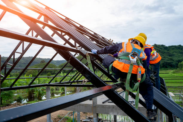 Best Flat Roof Repair Services  in Little Walnut Village, NM