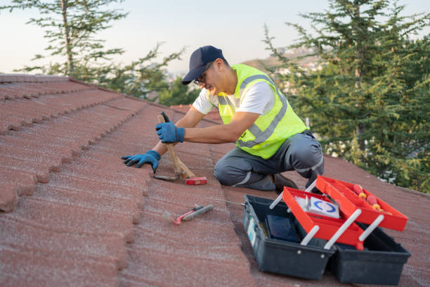 Best Roof Maintenance Services  in Little Walnut Village, NM